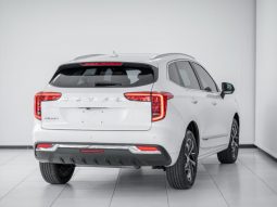 
										2024 Haval Jolion 1.5T Super Luxury DCT full									