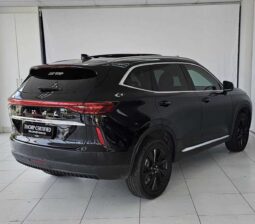 
										2024 Haval H6 2.0T S-Luxury 7DCT 4WD full									