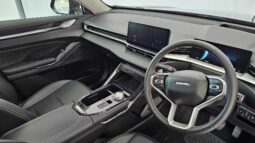 
										2024 Haval H6 2.0T S-Luxury 7DCT 4WD full									